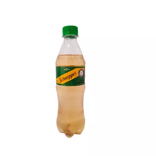 Ginger pet 400ml