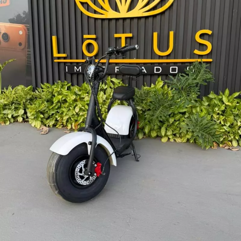E-Scooter Citycoco 1000W