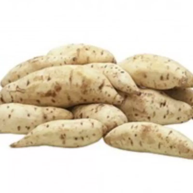 Batata blanca Org.
