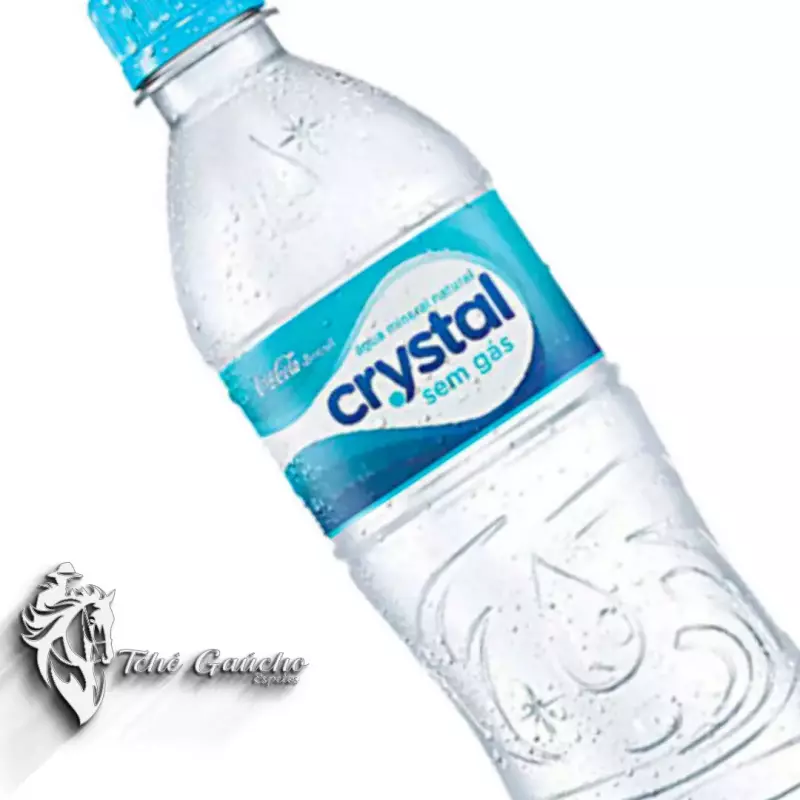 Água sem gás 500ml