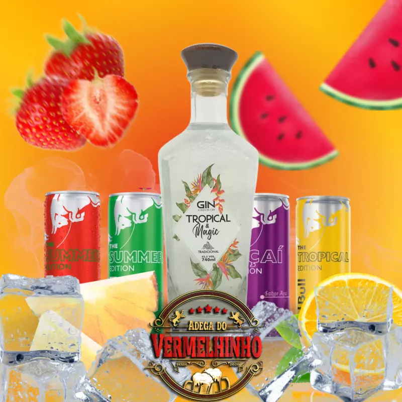 COMBO GIN MAGIC C/ REDBULL