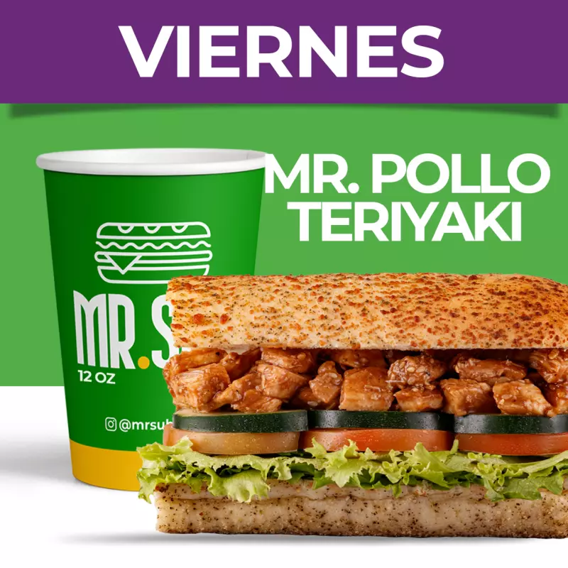 VIERNES - MR. POLLO TERIYAKI