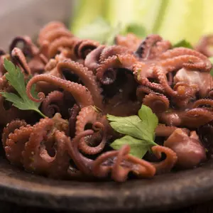 Polvo Inteiro P - Eviscerado