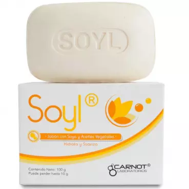 JABON SOYL 100 GR