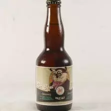 Dr. Ooul Pale Ale -  Jack Vled