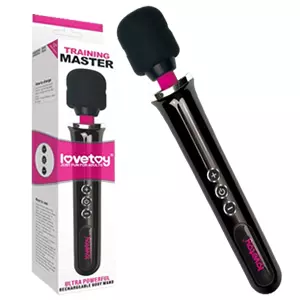 RECHARGEABLE BODY WAND