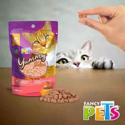 Premio para gatos