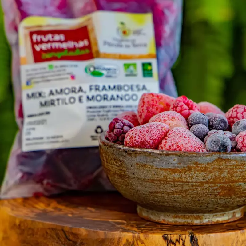 Mix de frutas vermelhas 500g