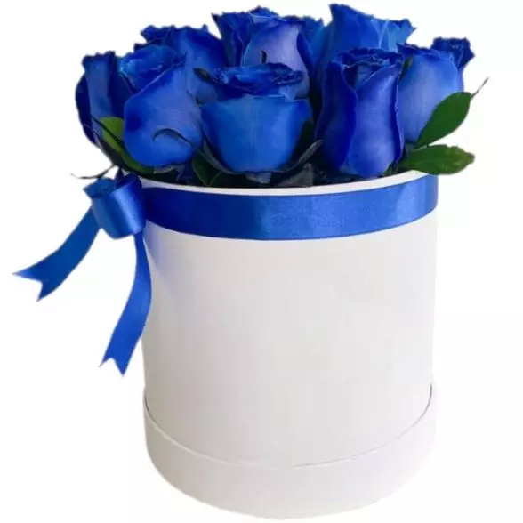 Blue&Blue