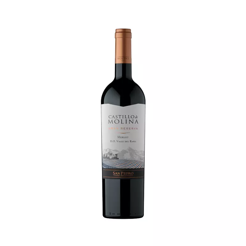 Vino Castillo de Molina Merlot 14° 7