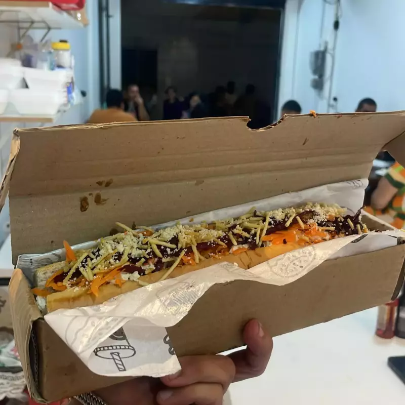 2x Dois Cachorro De 30 cm 24,99$