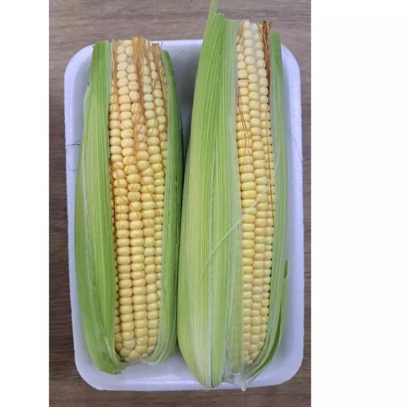 MILHO VERDE ORG 4 UNID