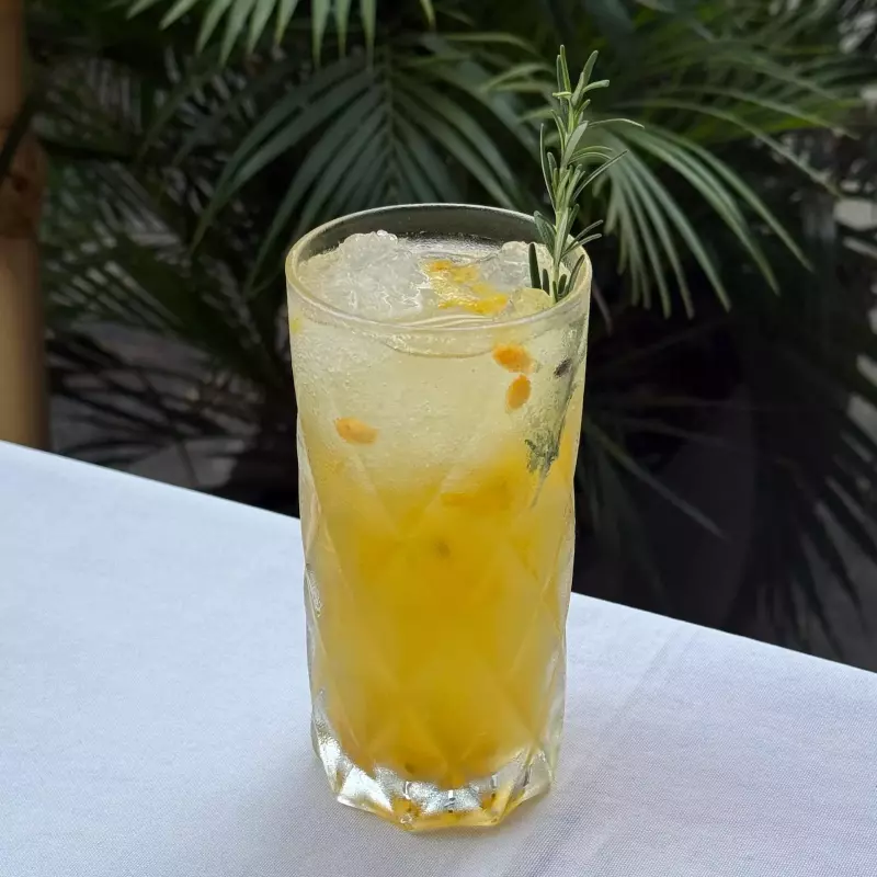 Soda tempo
