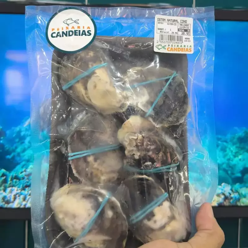 Ostra Natural Congelada