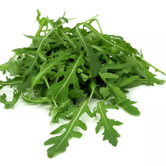 Arúgula