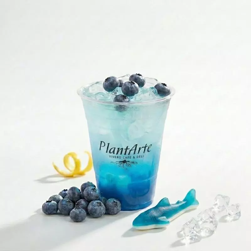 Ocean Lemonade