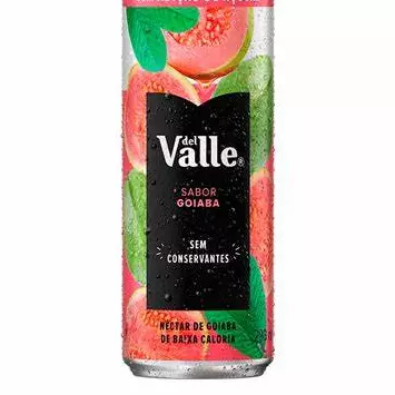 DELL VALLE 290ML GOIABA