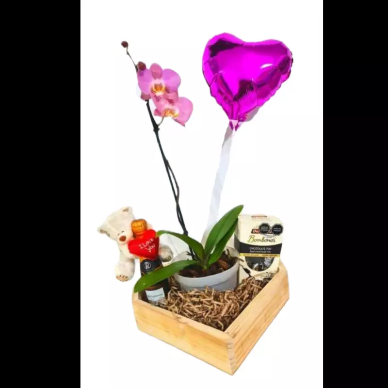 Box Dolce Orquídea