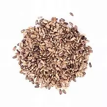Cardo Mariano Semente 100g