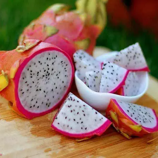Pitaya branca