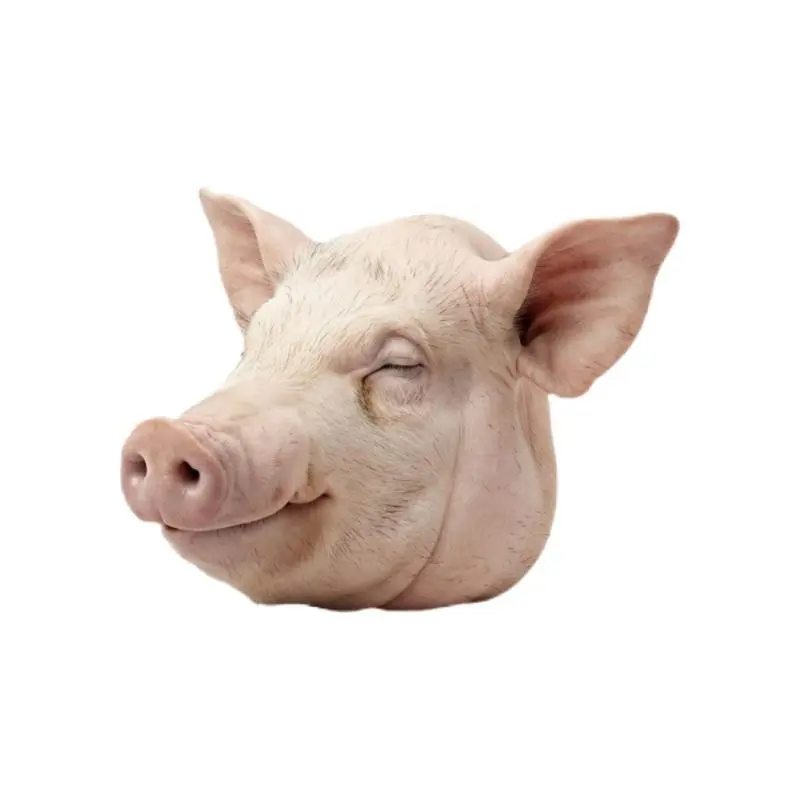 Cabeza de cerdo 7 a 10 lb