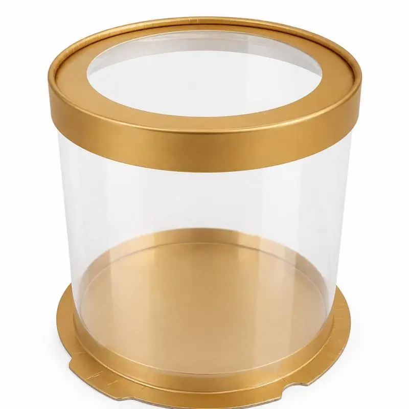 Caja acetato mini RG2136