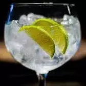 Gin  Tonica