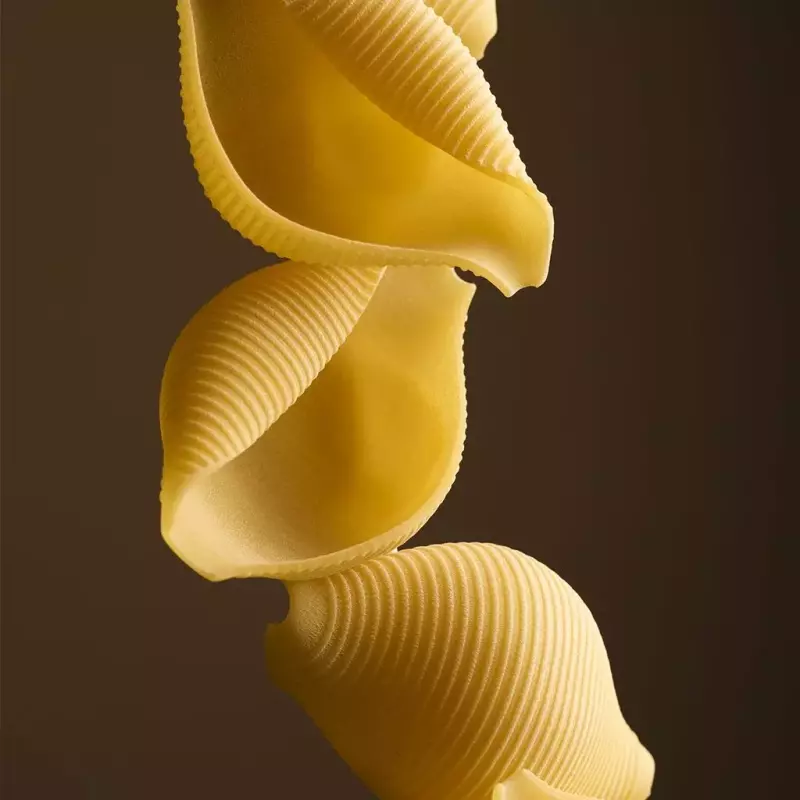 Macarrão Paganini Conchiglioni