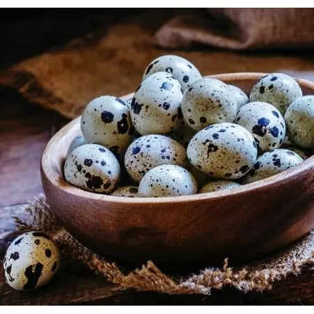~ Ovos de Codorna de Boteco ~