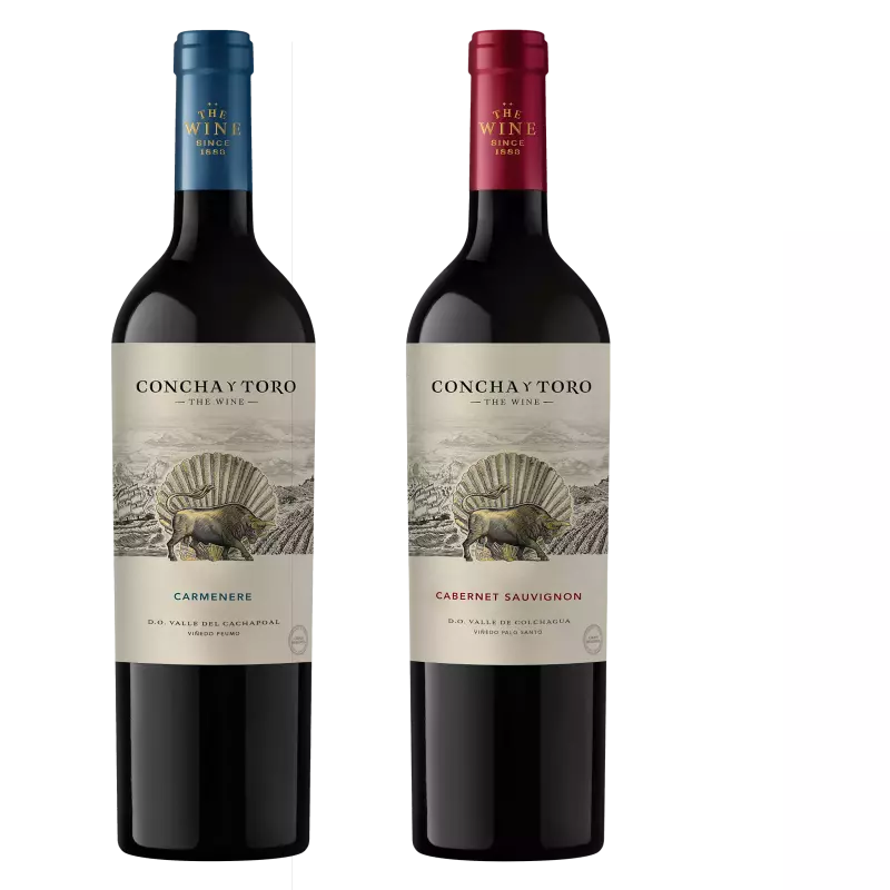 Concha y toro the wine