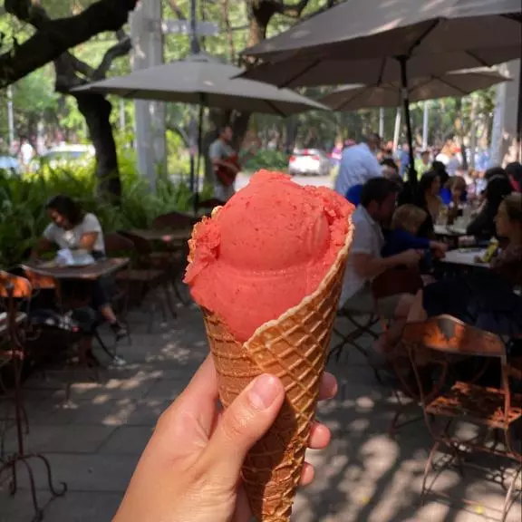 HELADO FRESA Y CONO, VEGANO 8 OZ