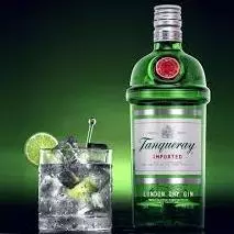 Dose Gin Tanqueray
