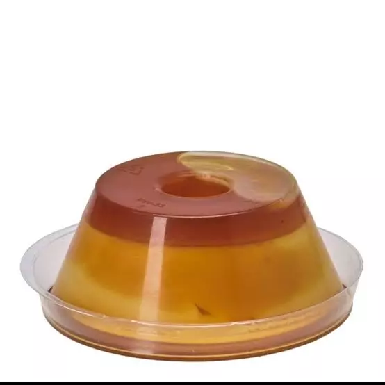 Pudim 120gr