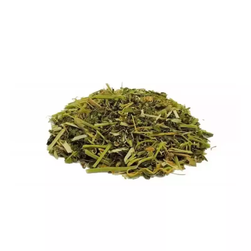Melão São Caetano 100g