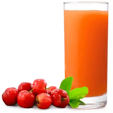 SUCO NATURAL ACEROLA 1L