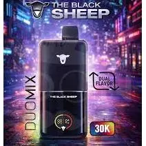 Black S. Kit Straw.Water+Fresh Mint