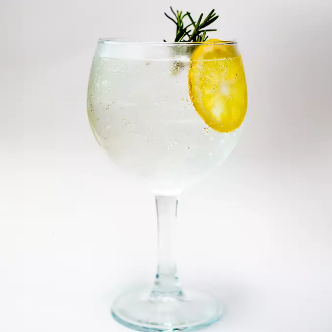 GIN TÔNICA IMPORTADA