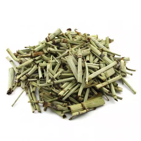 48 - Cavalinha (100g)