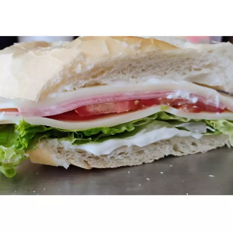 LANCHE NATURAL DE PRESUNTO E QUEIJO