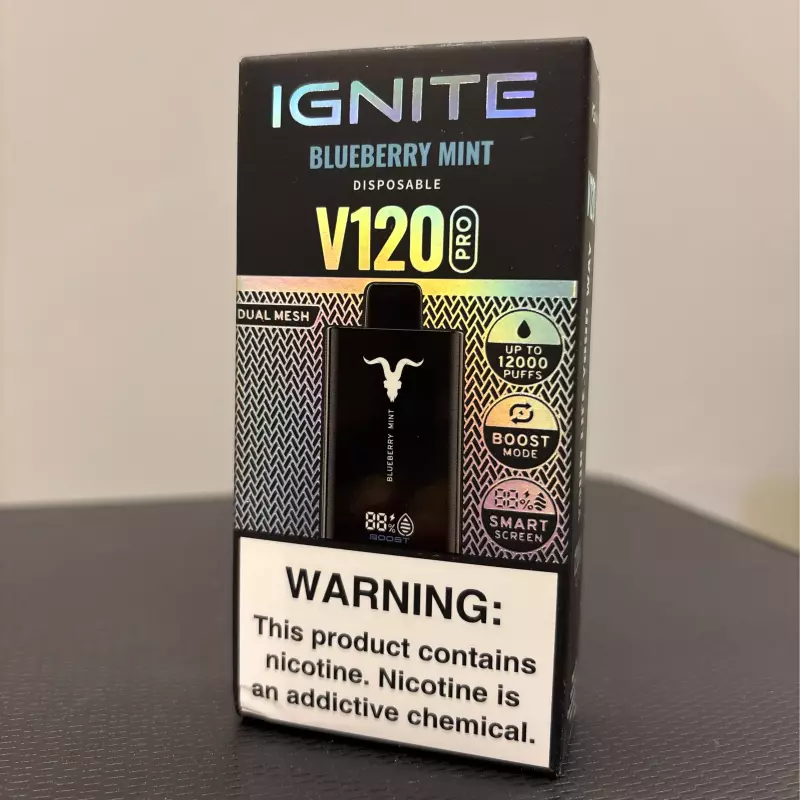 IGNITE V120 Pro  Blueberry Mint