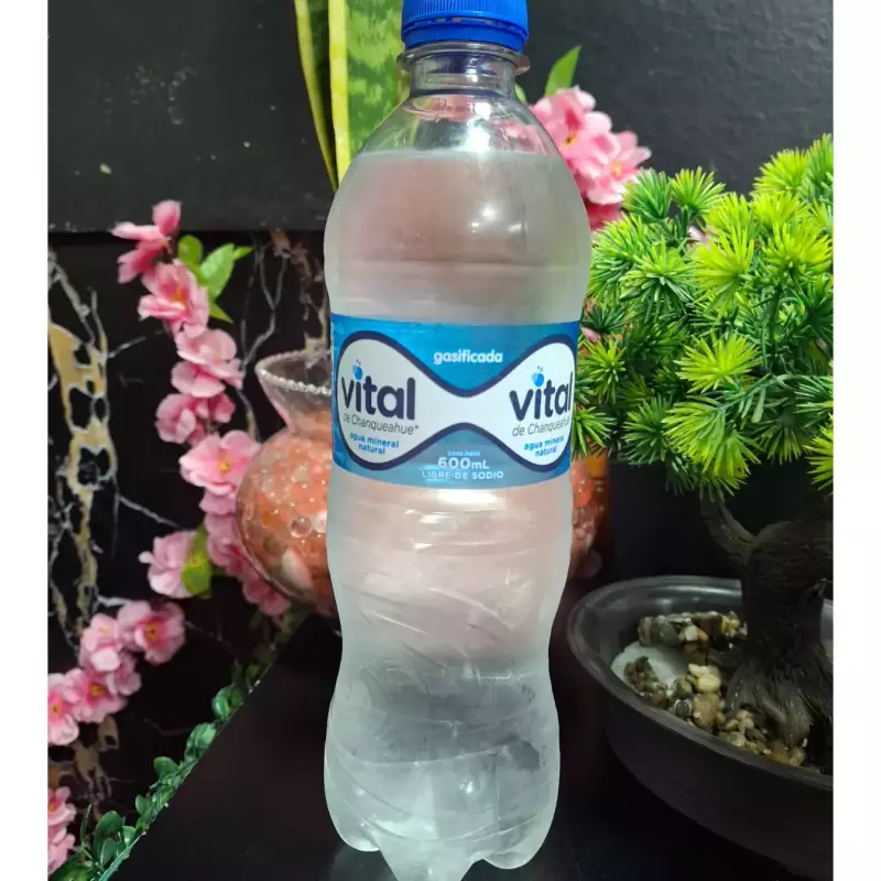 AGUA 600