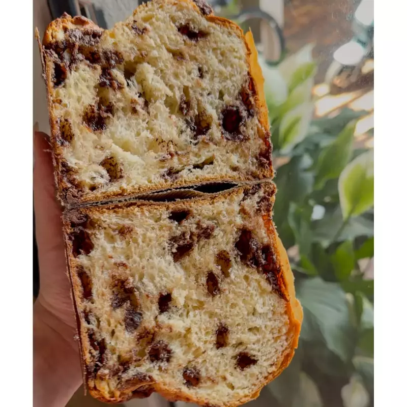 Chocottone 500 gr, sem cobertura.