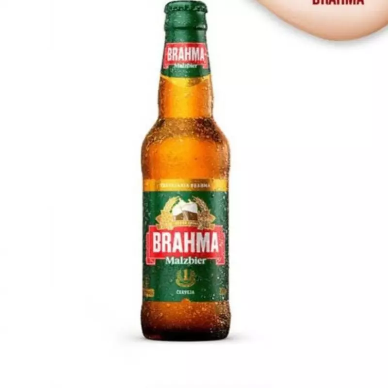 Brahma Malzbier Long Neck 355 Ml