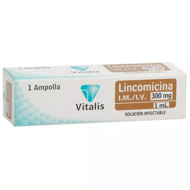 LINCOMICINA 300MG AMPOLLA