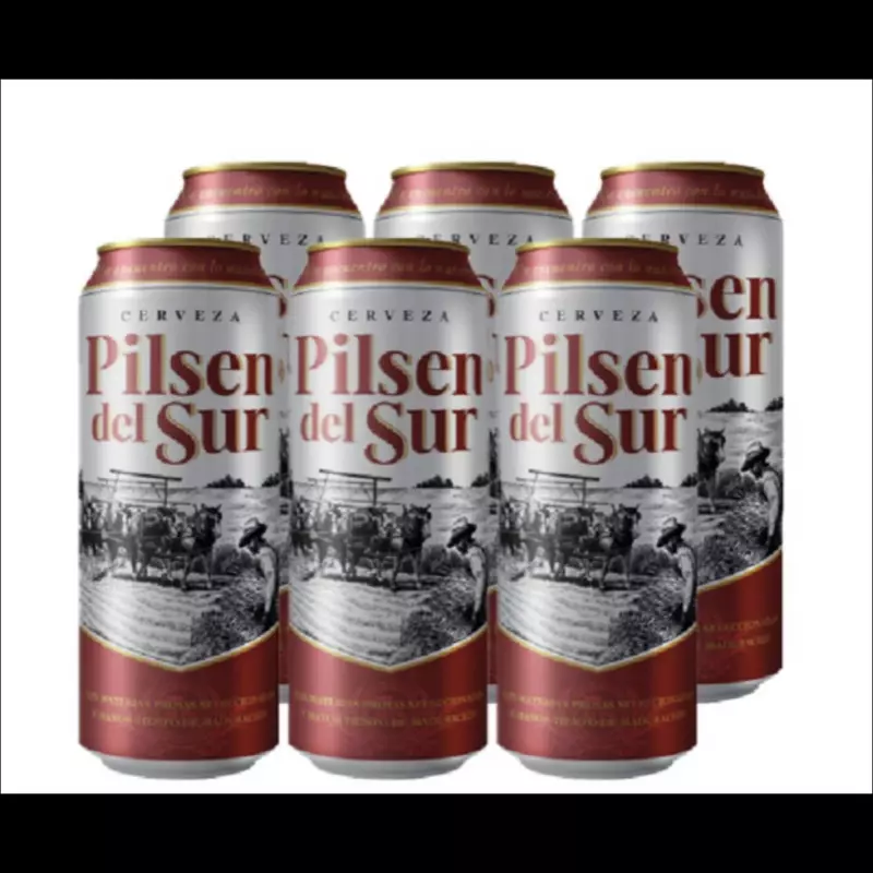 Sixpack Cerveza Pilsen del Sur