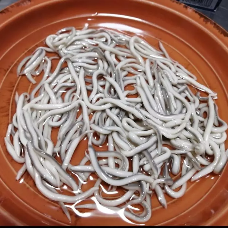 Gulas al Ajillo