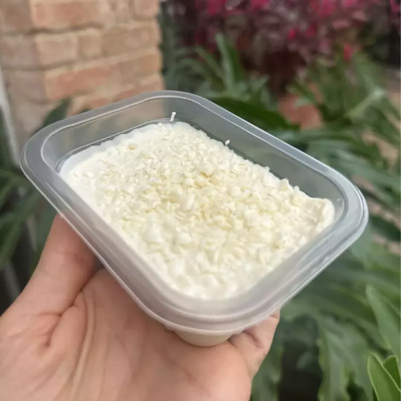 Danette de Chocolate Branco