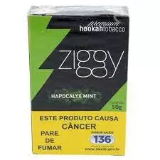 ZIGGY MENTA