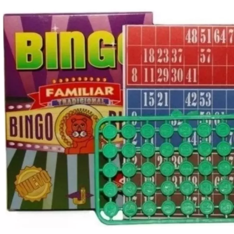 JUEGO BINGO FAMILIAR