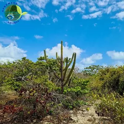 Trilha Ecológica Gentio da Terra